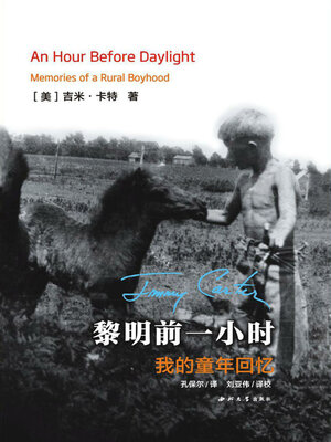 cover image of 黎明前一小时